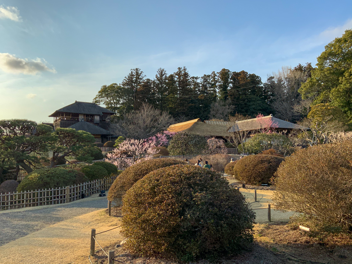 f:id:harimayatokubei:20210315214557j:plain