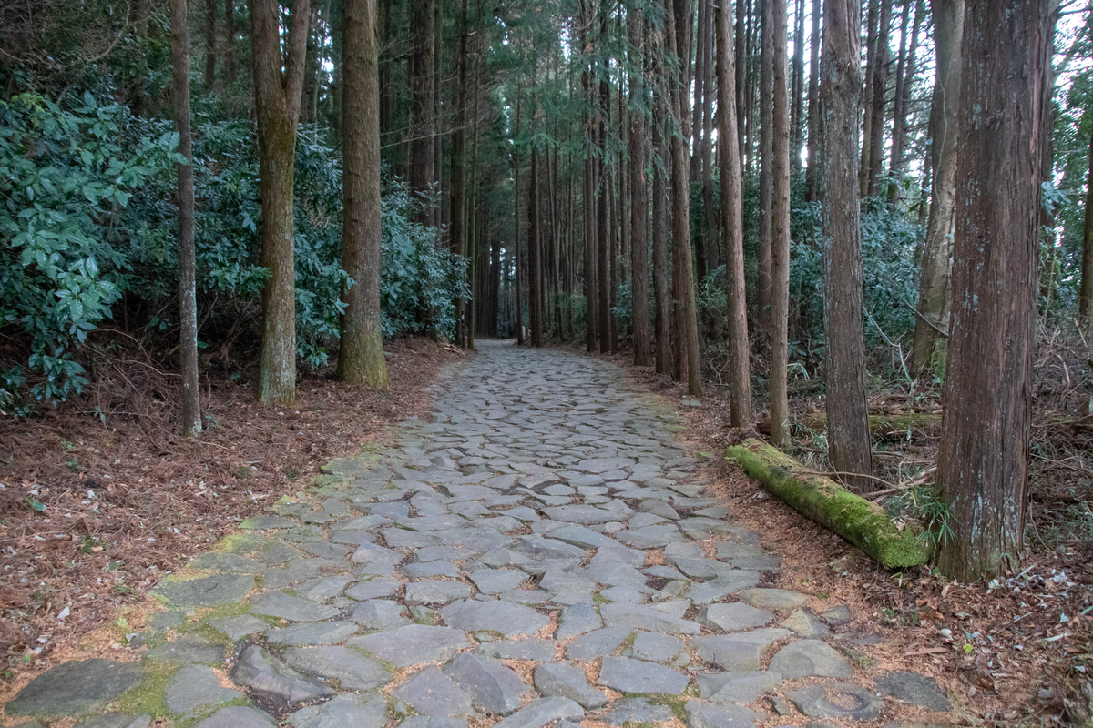 f:id:harimayatokubei:20210325002418j:plain