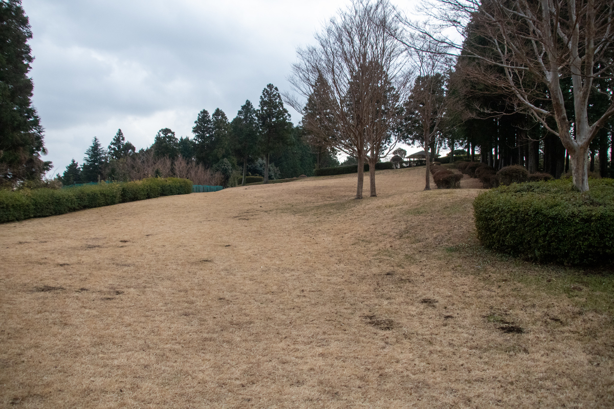 f:id:harimayatokubei:20210325002424j:plain