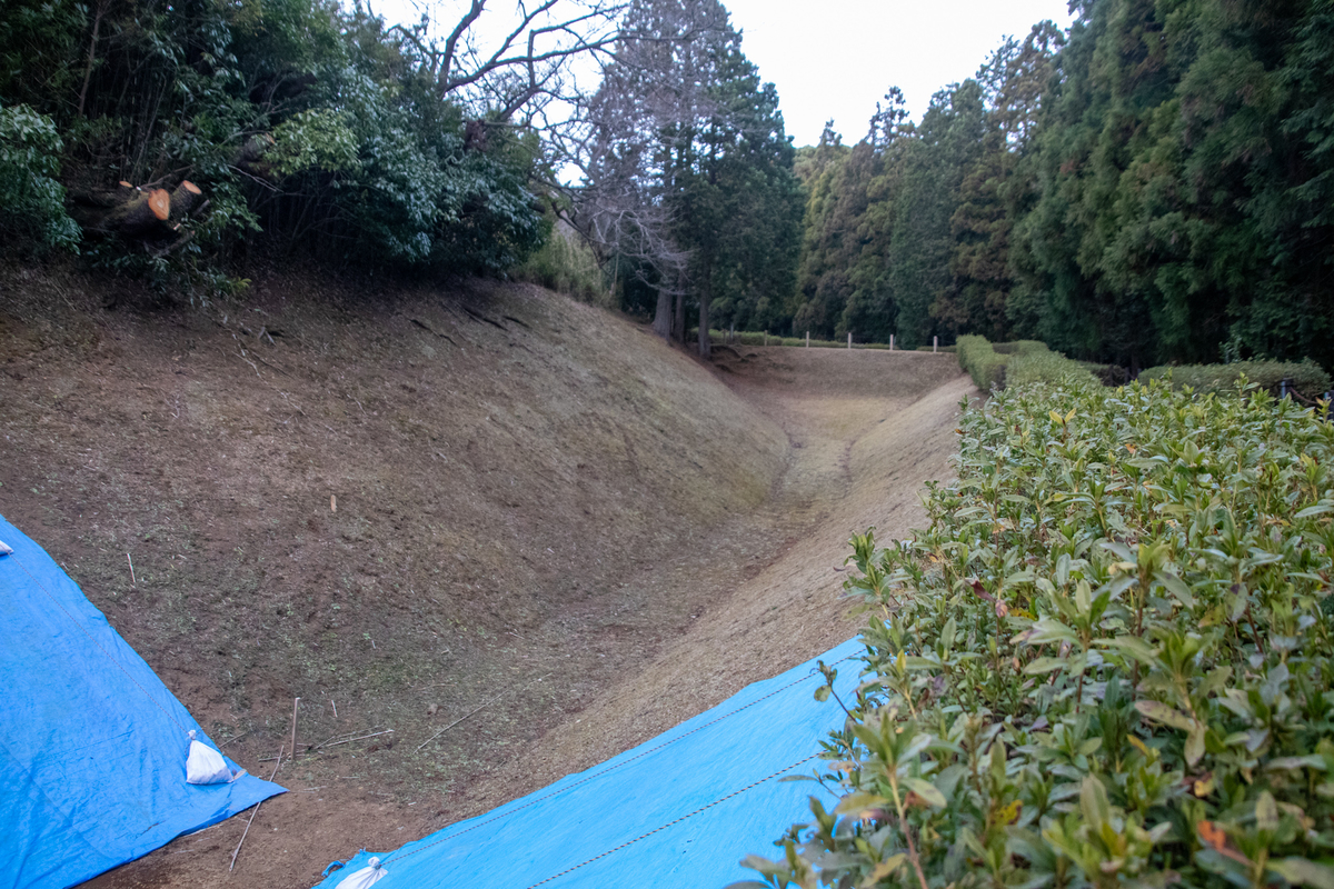 f:id:harimayatokubei:20210325002529j:plain