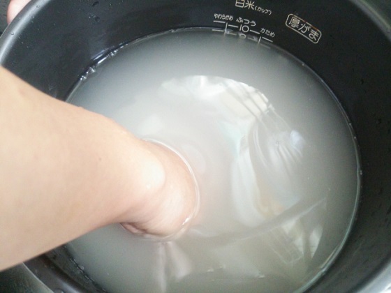 f:id:harimogura0201:20190515000759j:plain