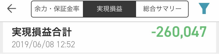 f:id:harinezumi-hariko:20190608225538j:plain