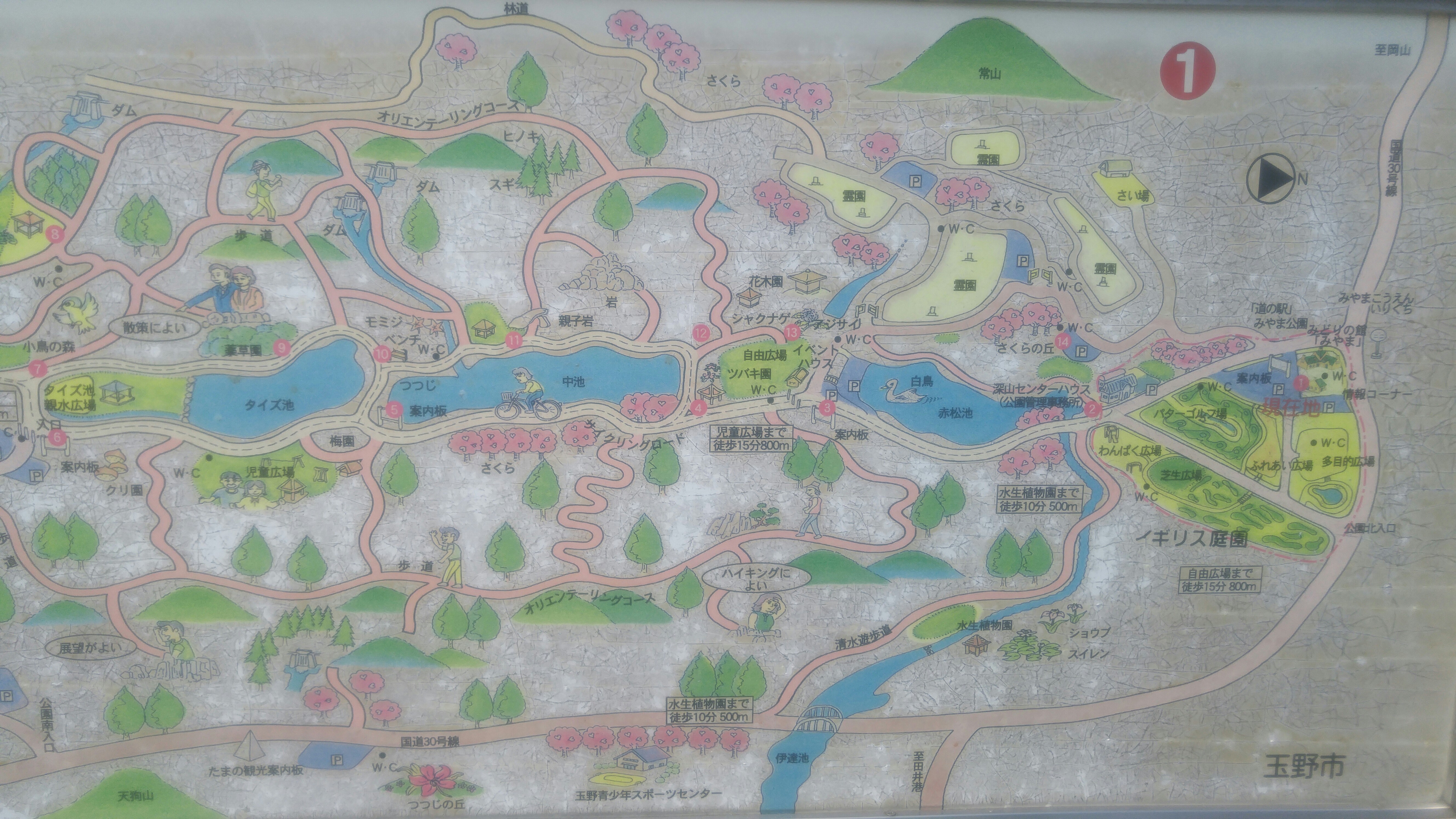 f:id:harinezumib:20171010010034j:image