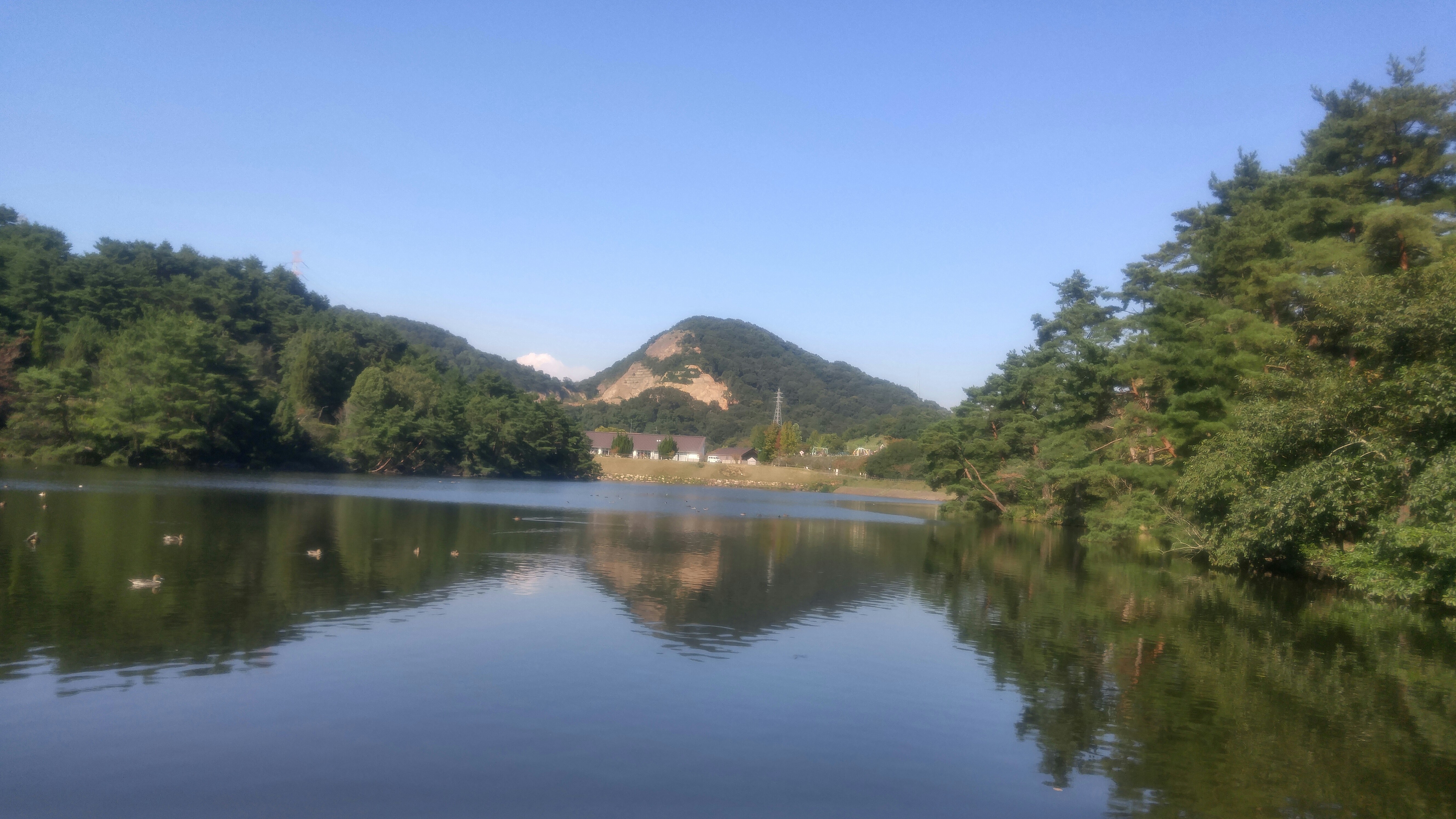 f:id:harinezumib:20171012234640j:image