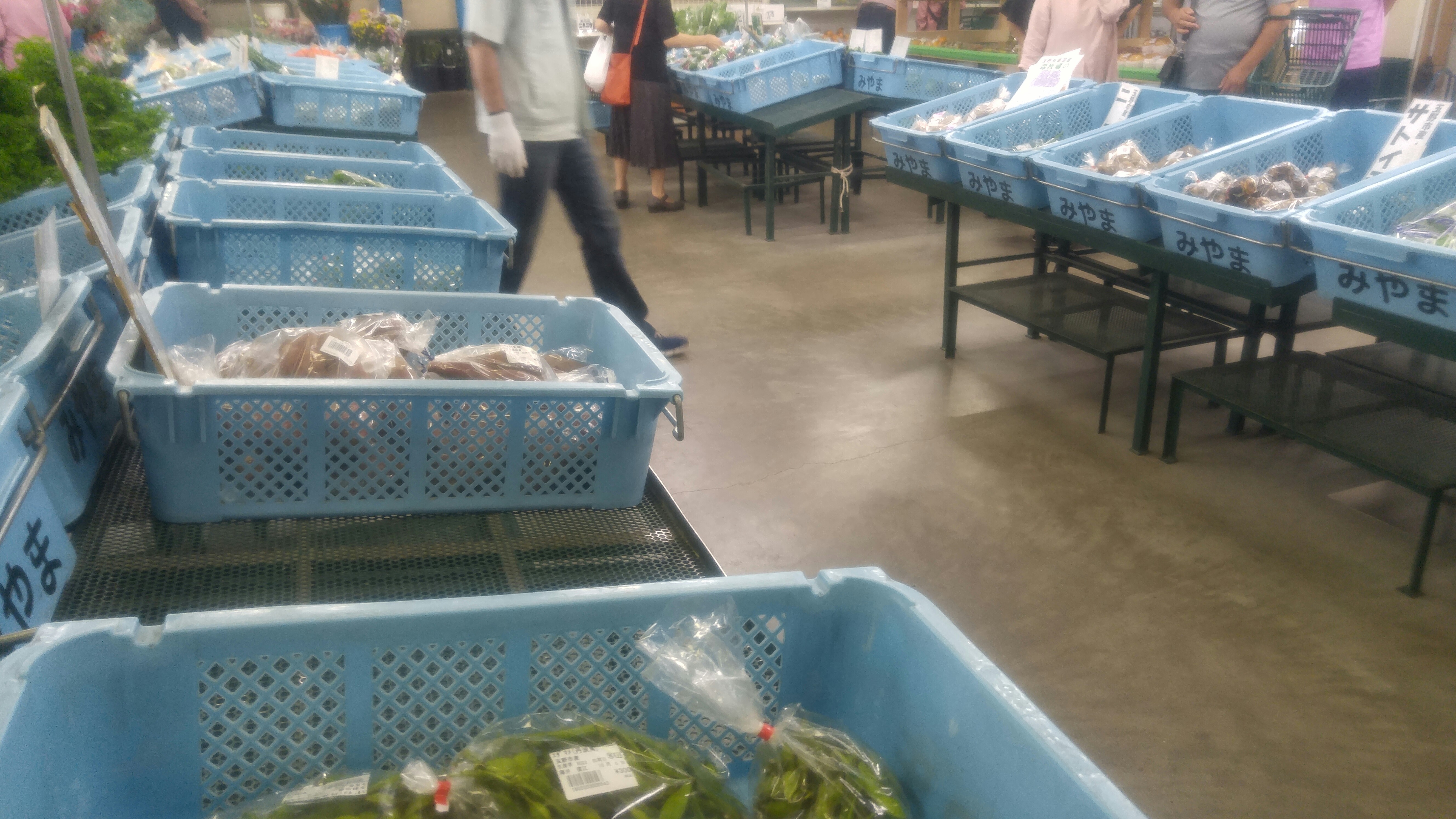 f:id:harinezumib:20171012234644j:image