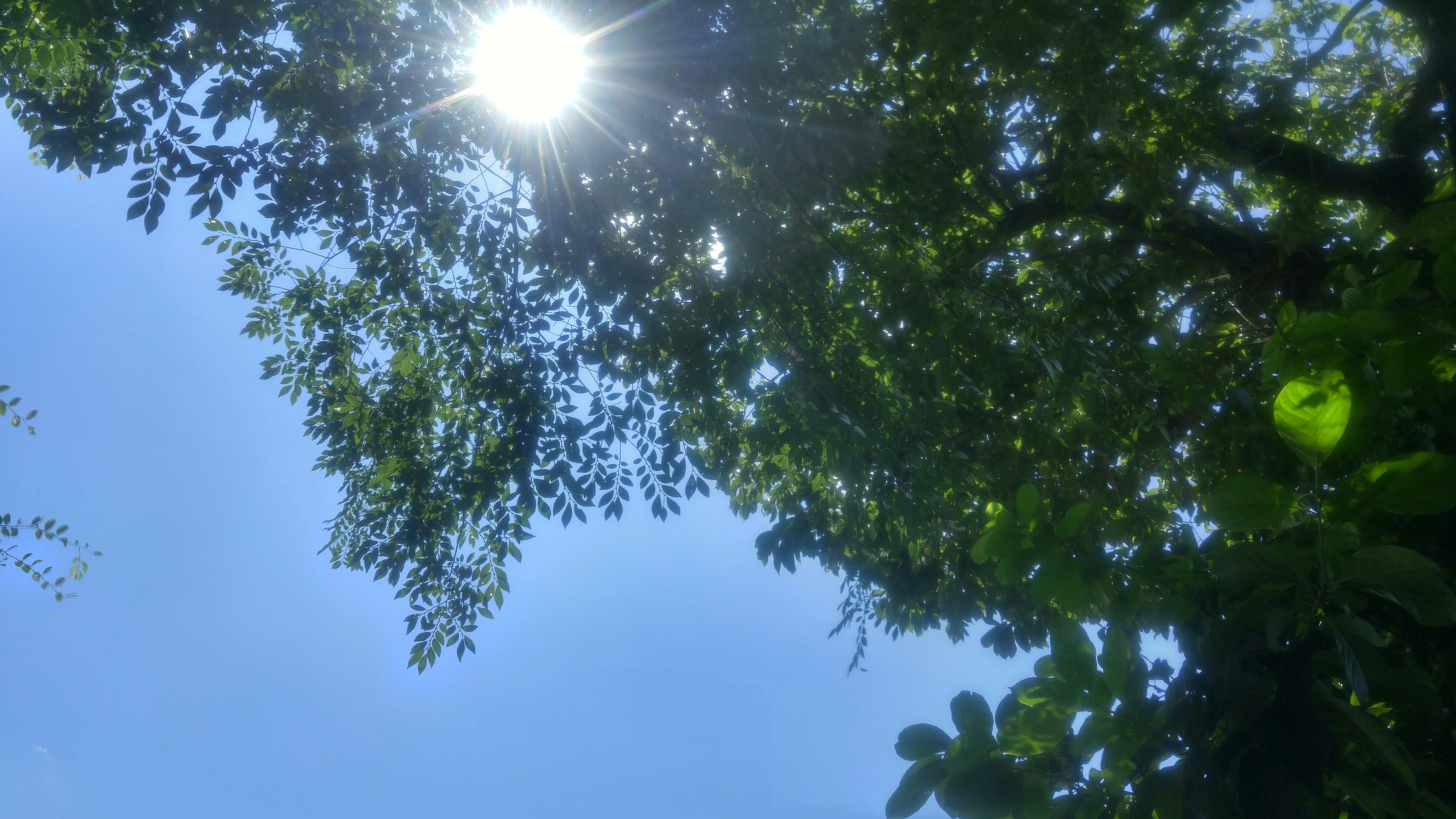 f:id:harinezumib:20180413140639j:plain