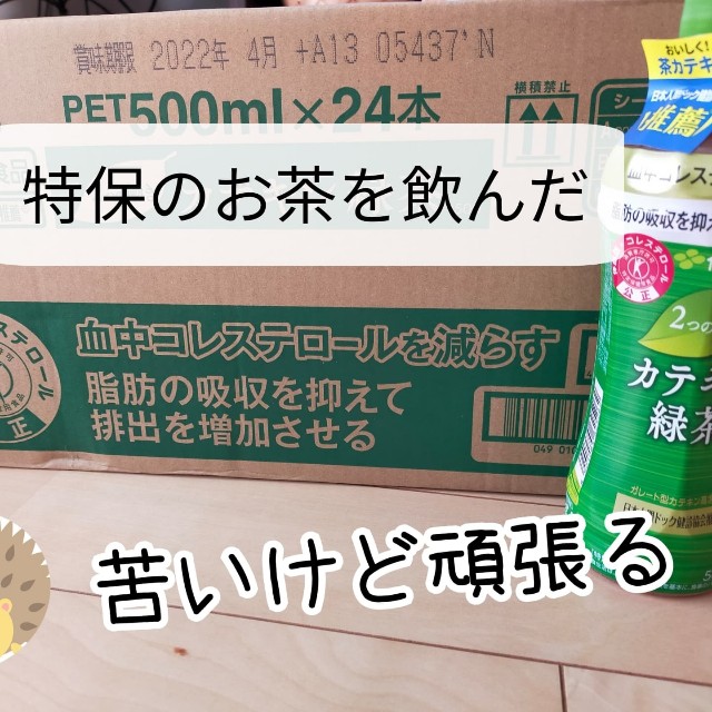 f:id:harinezumichang:20211223212735j:image f:id:harinezumichang:20211223212735j:image