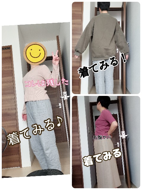 f:id:harinezumichang:20241022225612j:image