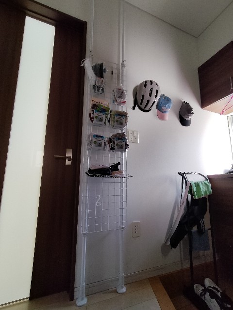 f:id:harinezumichang:20250105172849j:image