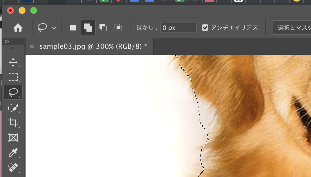 投げ縄ツール