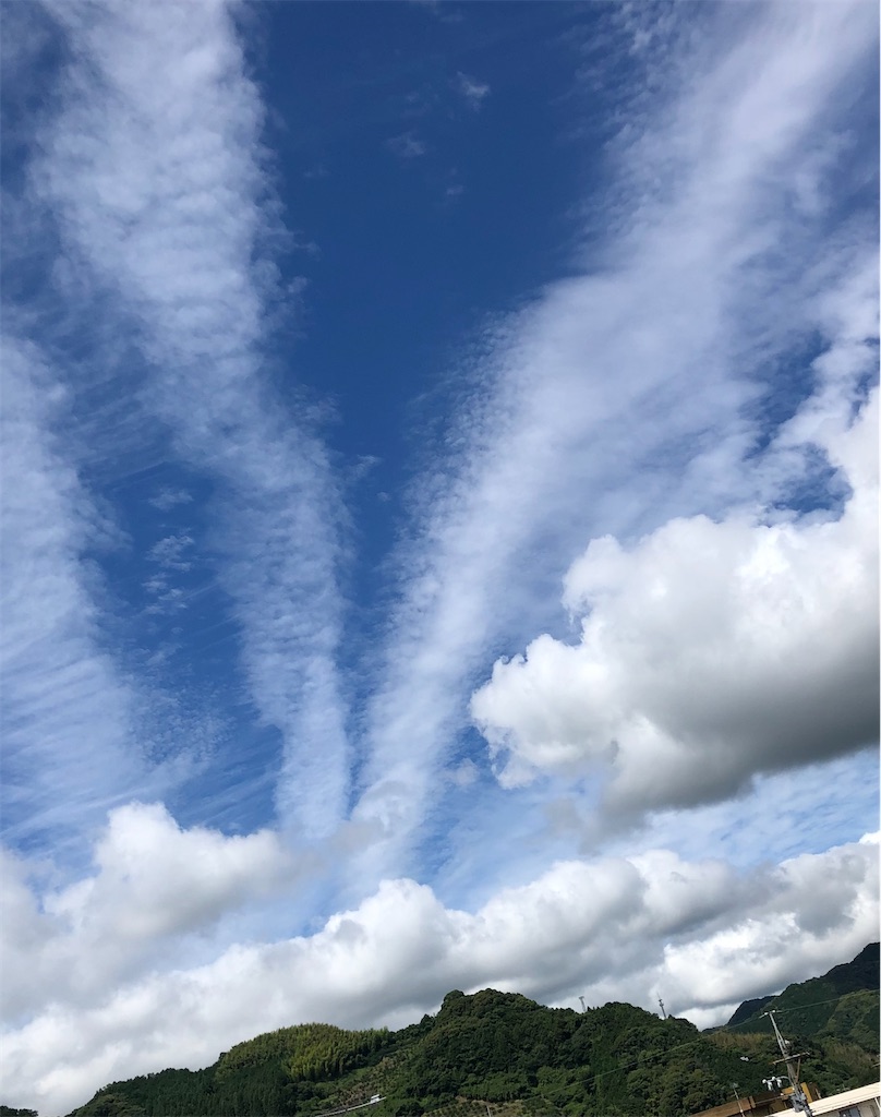 f:id:haritoito1:20210706161809j:plain