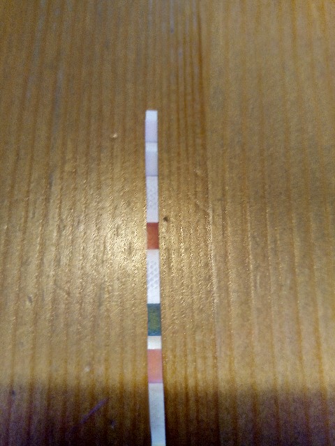 f:id:hariwasabi:20190929184815j:image