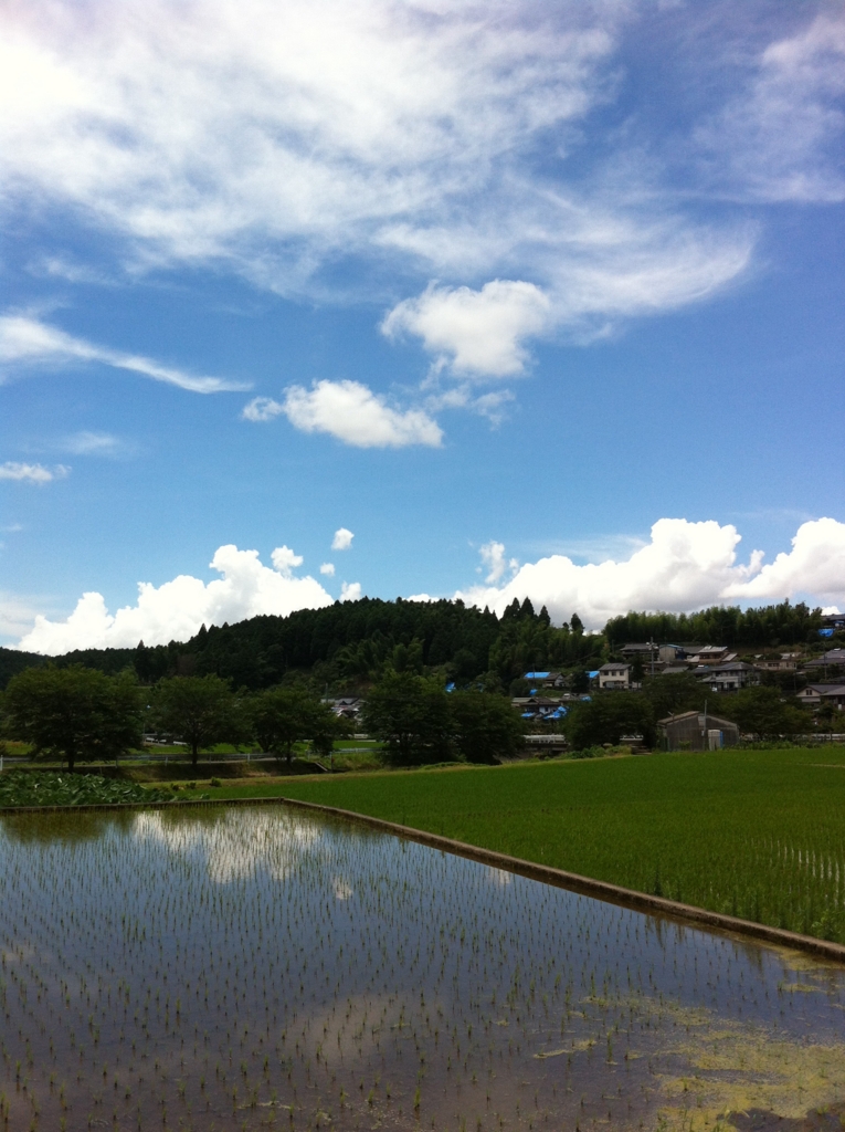 f:id:hariyamisawa:20160706074559j:plain f:id:hariyamisawa:20160706074559j:plain