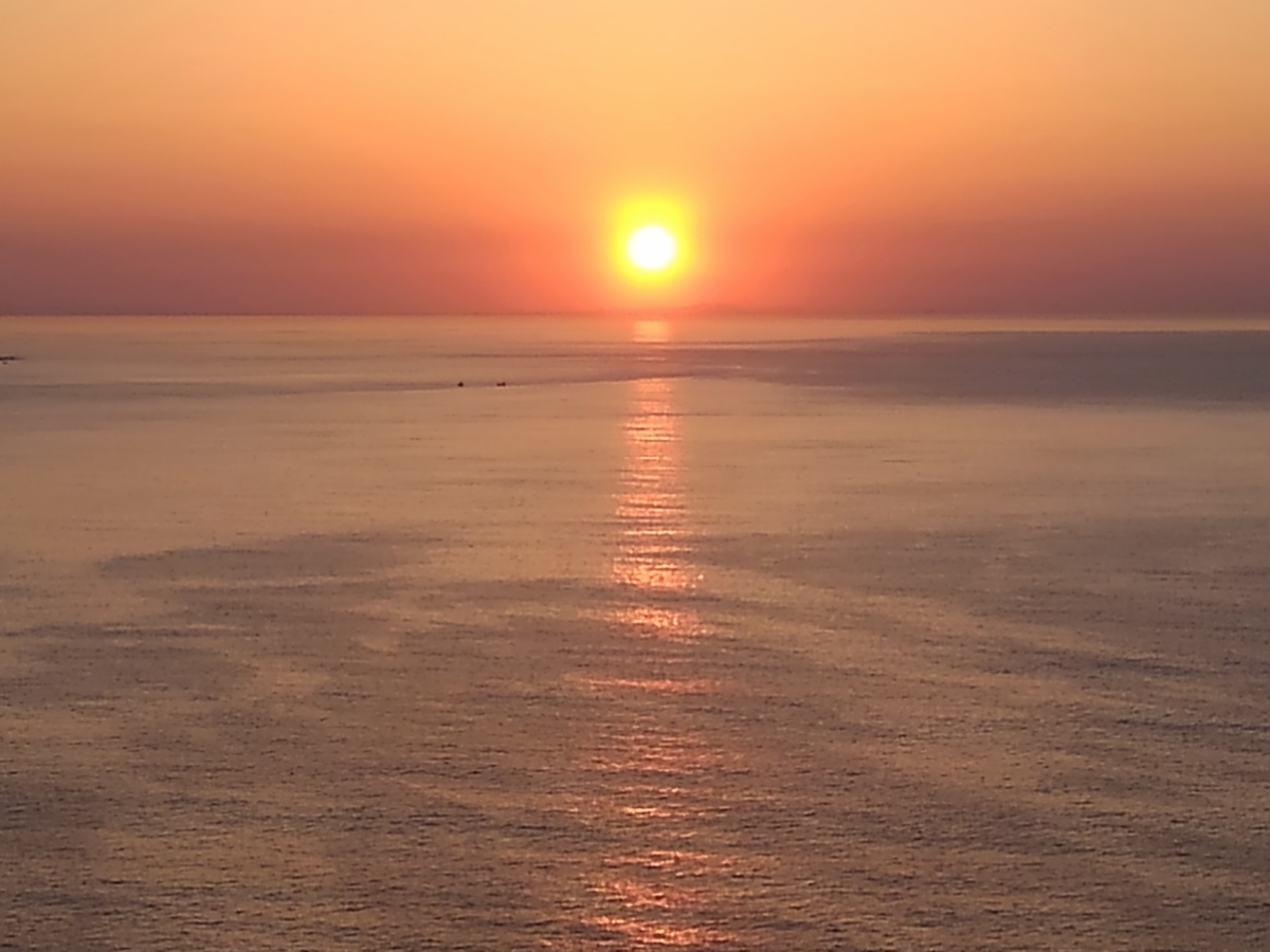 f:id:harmonia-cr:20190613130543j:plain f:id:harmonia-cr:20190613130543j:plain