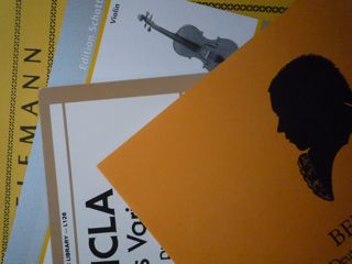 f:id:harmoniamusica:20130116102317j:image