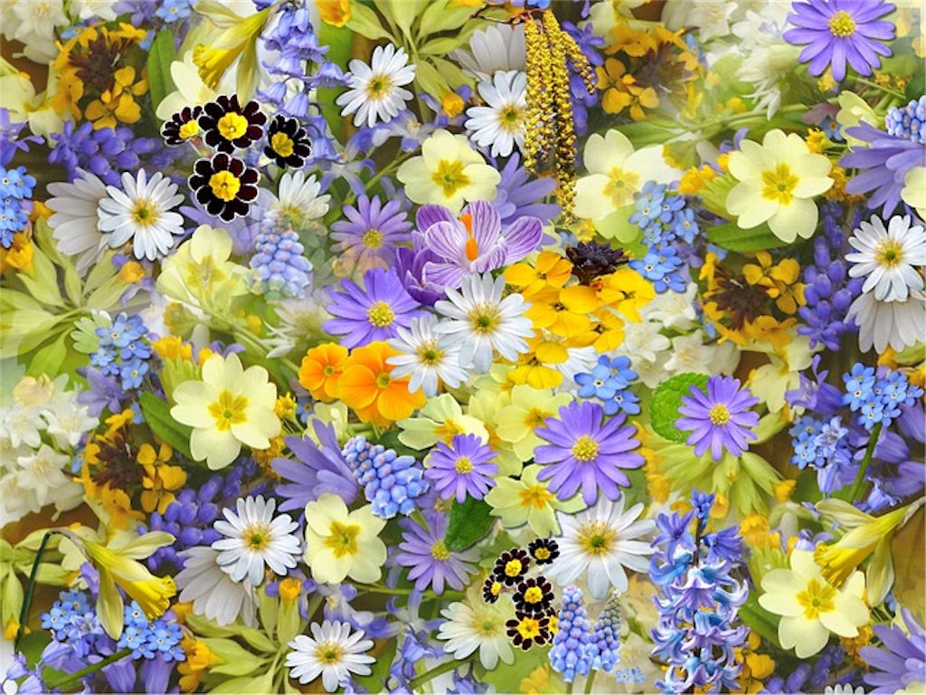f:id:harmonize:20190614232238j:image f:id:harmonize:20190614232238j:image
