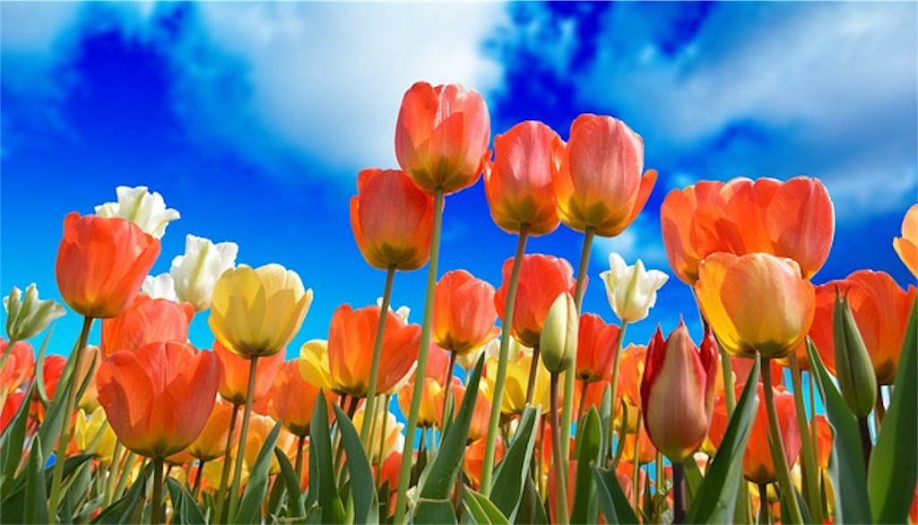 f:id:harmonize:20191007192745j:image
