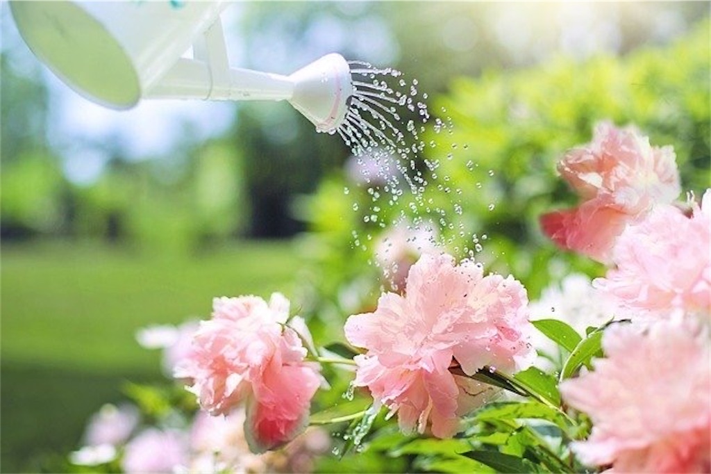 f:id:harmonize:20210611075209j:image f:id:harmonize:20210611075209j:image