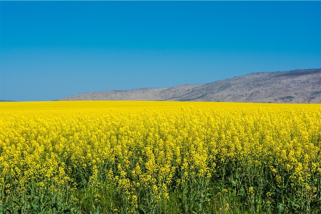 f:id:harmonize:20230426223915j:image f:id:harmonize:20230426223915j:image