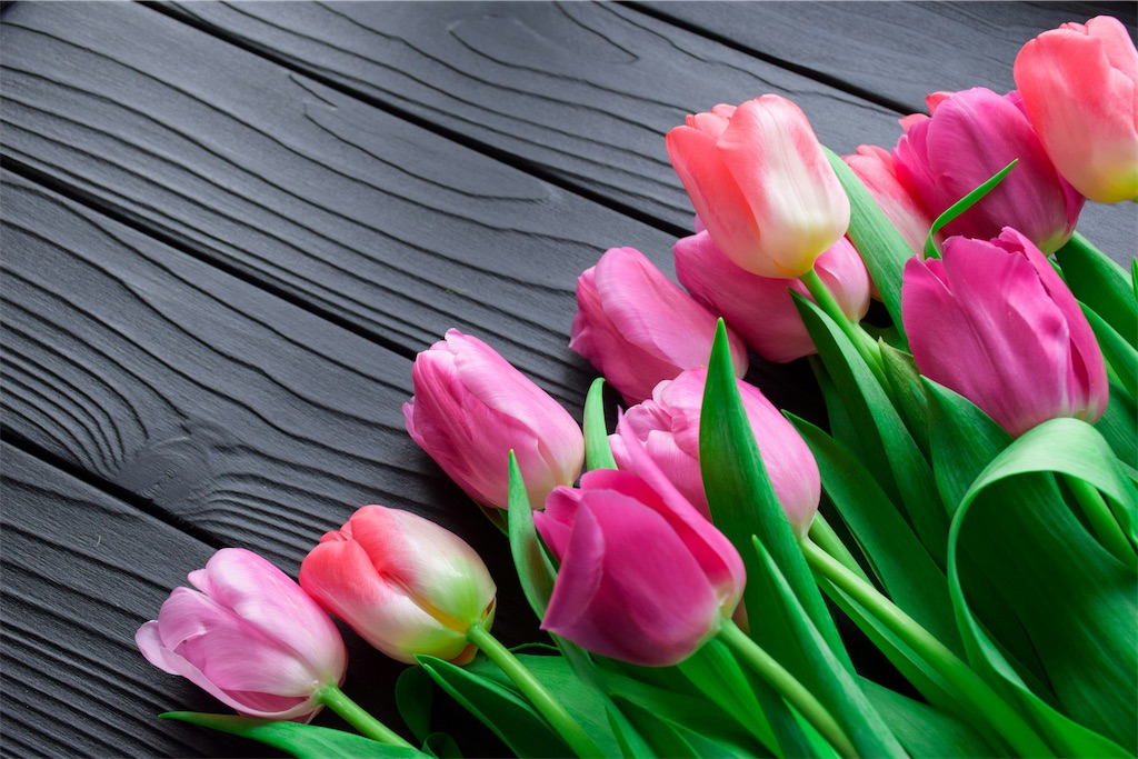 f:id:harmonize:20250312100455j:image