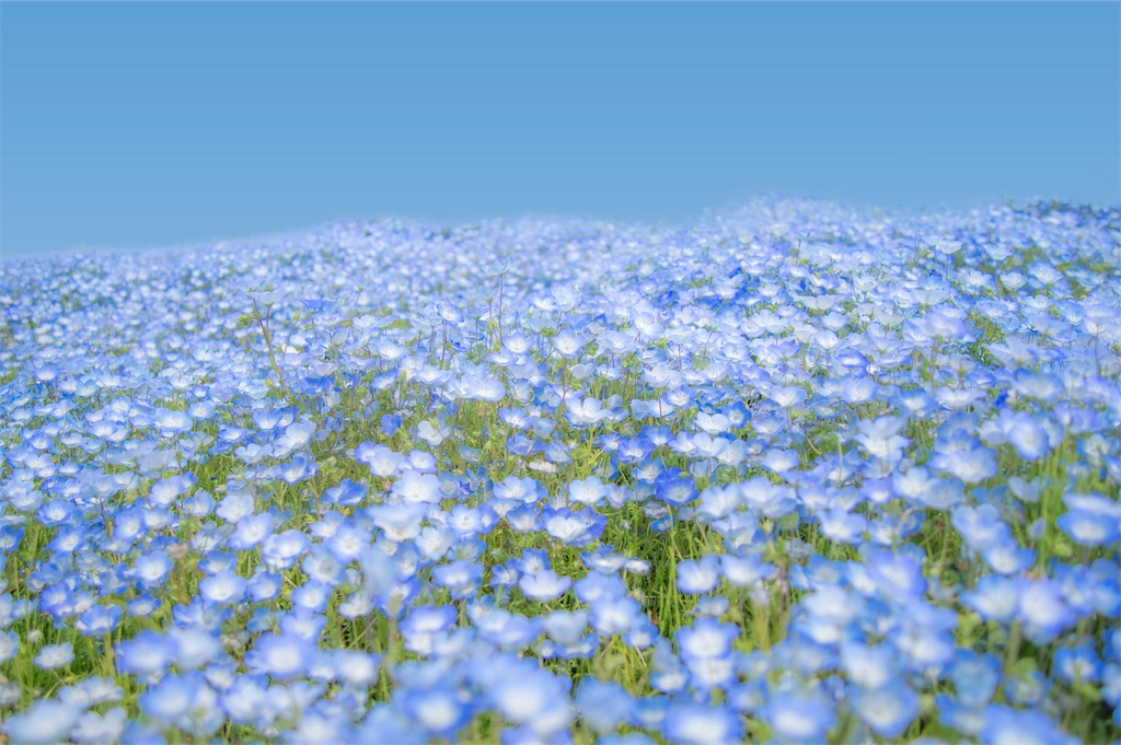 f:id:harmonize:20250410135810j:image