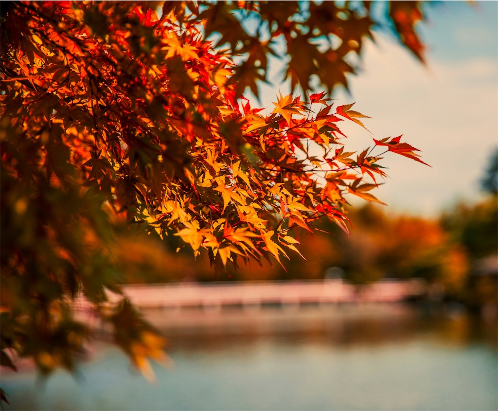 f:id:harmonize:20251031203838j:image