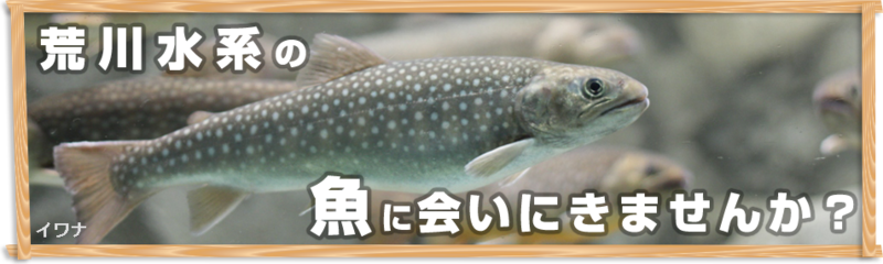 f:id:haro1220:20140601164328p:image f:id:haro1220:20140601164328p:image