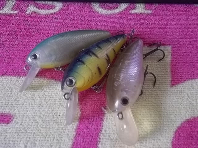f:id:haro33takoshi:20170817121108j:plain f:id:haro33takoshi:20170817121108j:plain