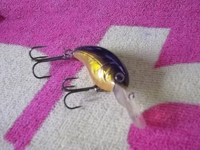 f:id:haro33takoshi:20170817121110j:plain f:id:haro33takoshi:20170817121110j:plain