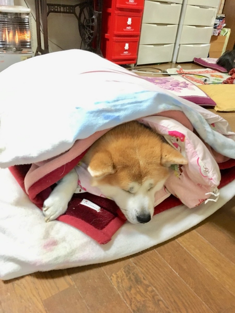 f:id:haro33takoshi:20180212193801j:plain f:id:haro33takoshi:20180212193801j:plain