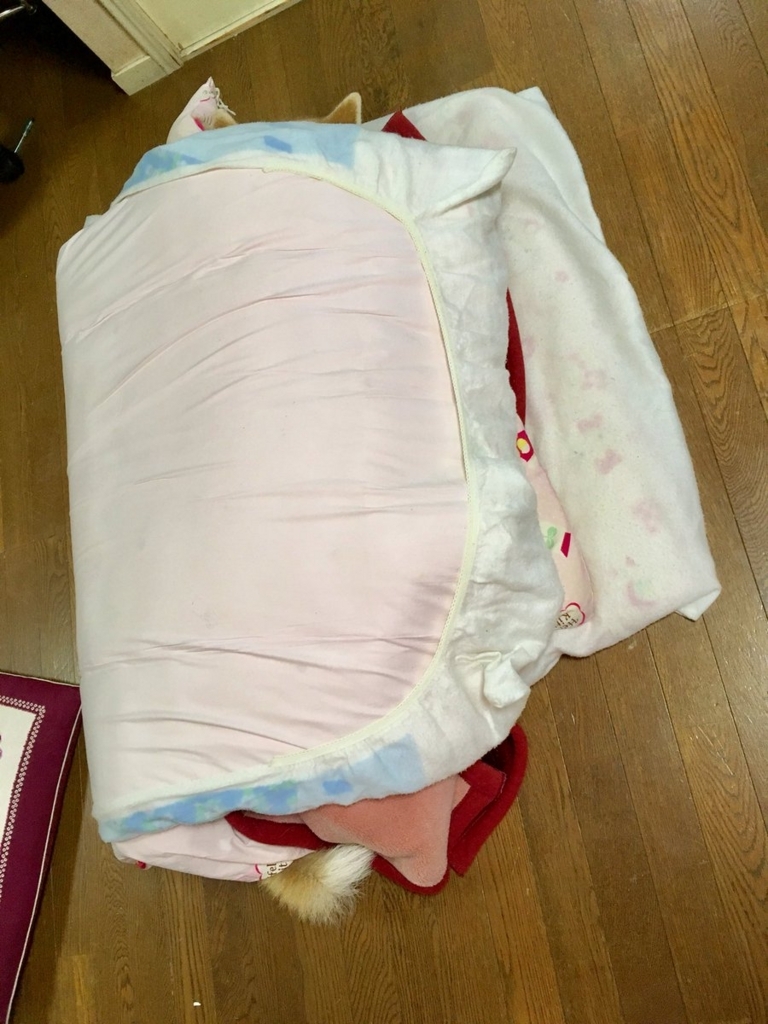f:id:haro33takoshi:20180212194042j:plain f:id:haro33takoshi:20180212194042j:plain