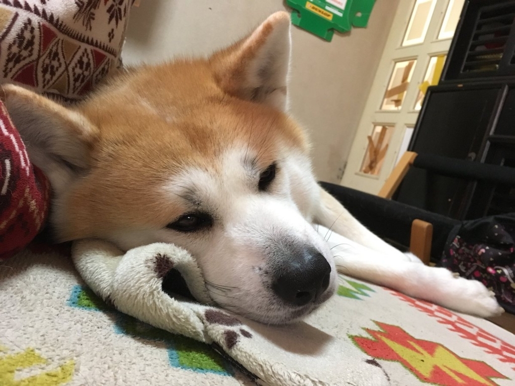 f:id:haro33takoshi:20180212194314j:plain f:id:haro33takoshi:20180212194314j:plain