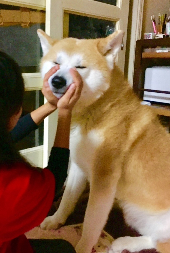 f:id:haro33takoshi:20180212194723j:plain f:id:haro33takoshi:20180212194723j:plain