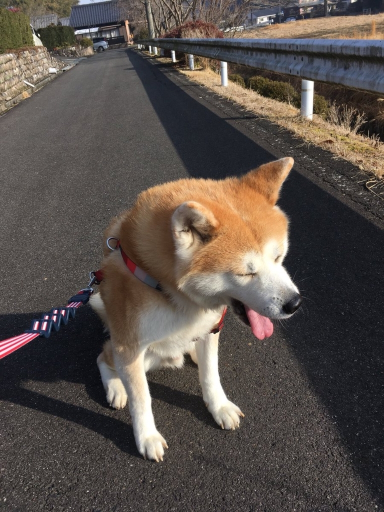 f:id:haro33takoshi:20180212200300j:plain f:id:haro33takoshi:20180212200300j:plain