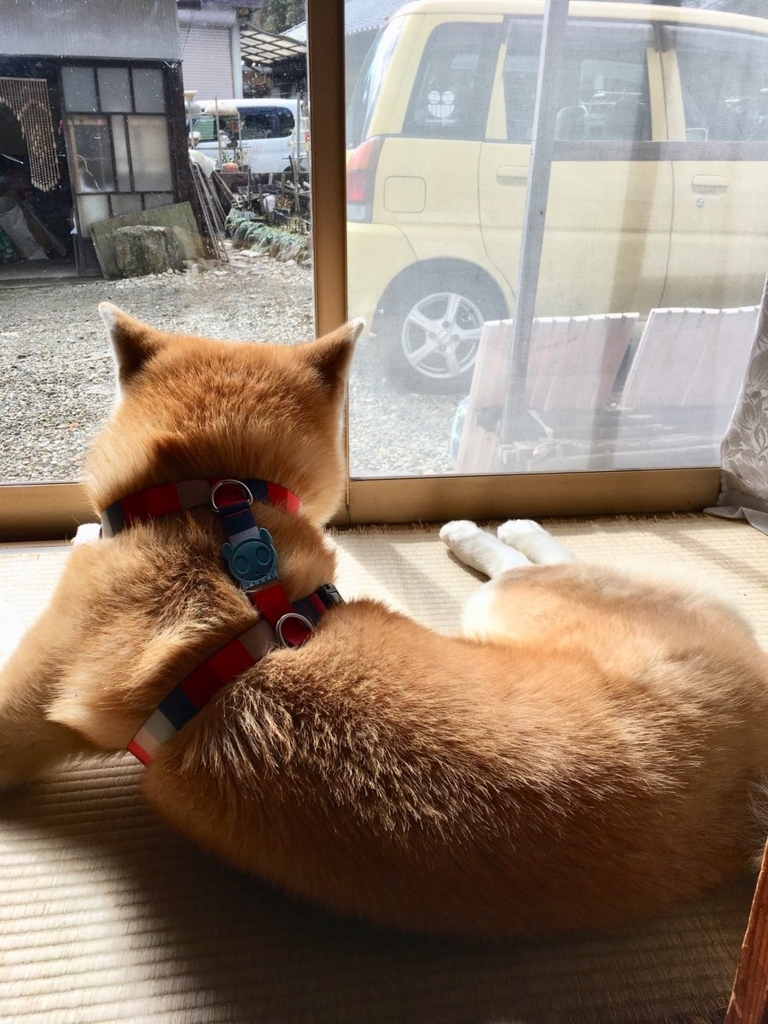 f:id:haro33takoshi:20180212200537j:plain f:id:haro33takoshi:20180212200537j:plain