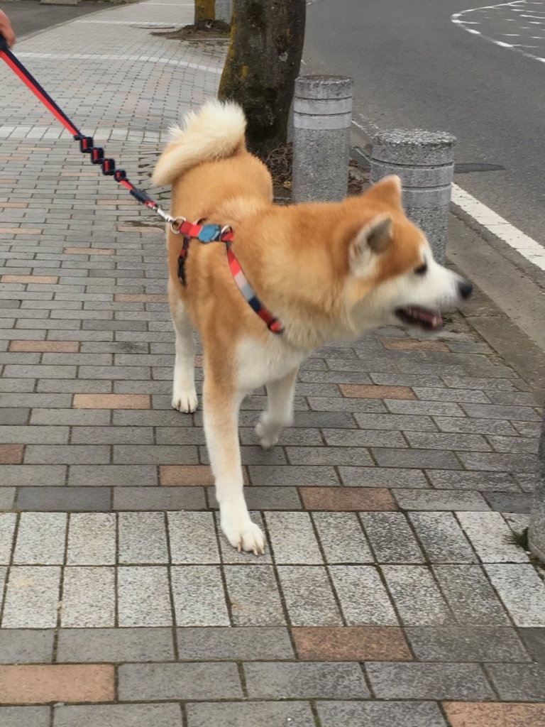 f:id:haro33takoshi:20180215202609j:plain f:id:haro33takoshi:20180215202609j:plain