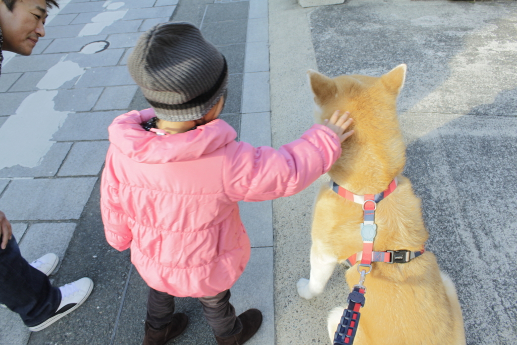 f:id:haro33takoshi:20180217222236j:plain f:id:haro33takoshi:20180217222236j:plain