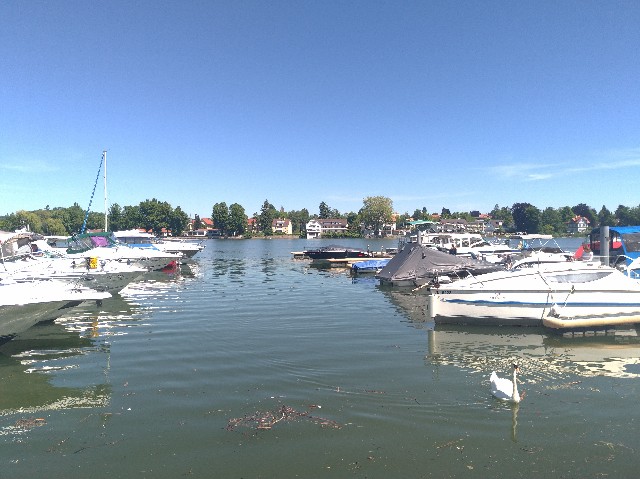 f:id:harry020737:20190610051312j:image f:id:harry020737:20190610051312j:image