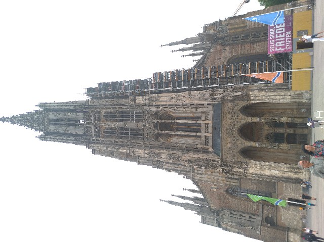f:id:harry020737:20190610053401j:image f:id:harry020737:20190610053401j:image