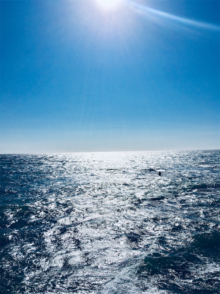 f:id:harry1029:20190108065003j:image