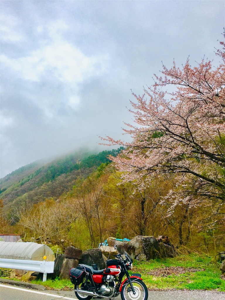 f:id:harry1029:20190504224211j:image