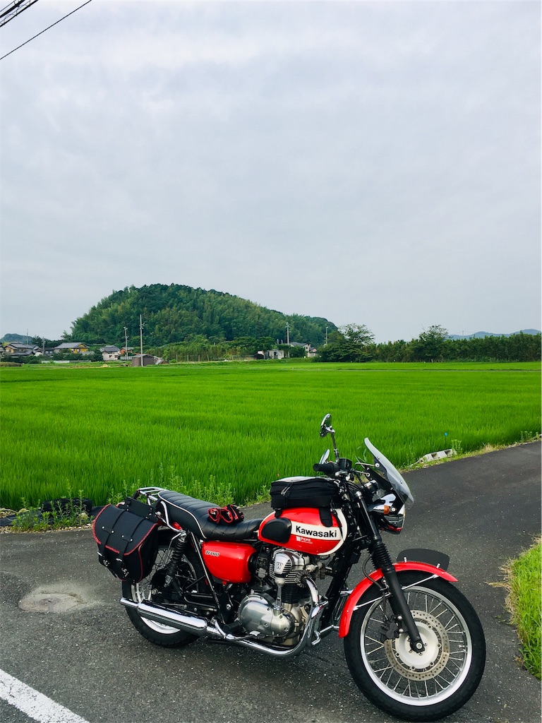 f:id:harry1029:20190802064858j:image