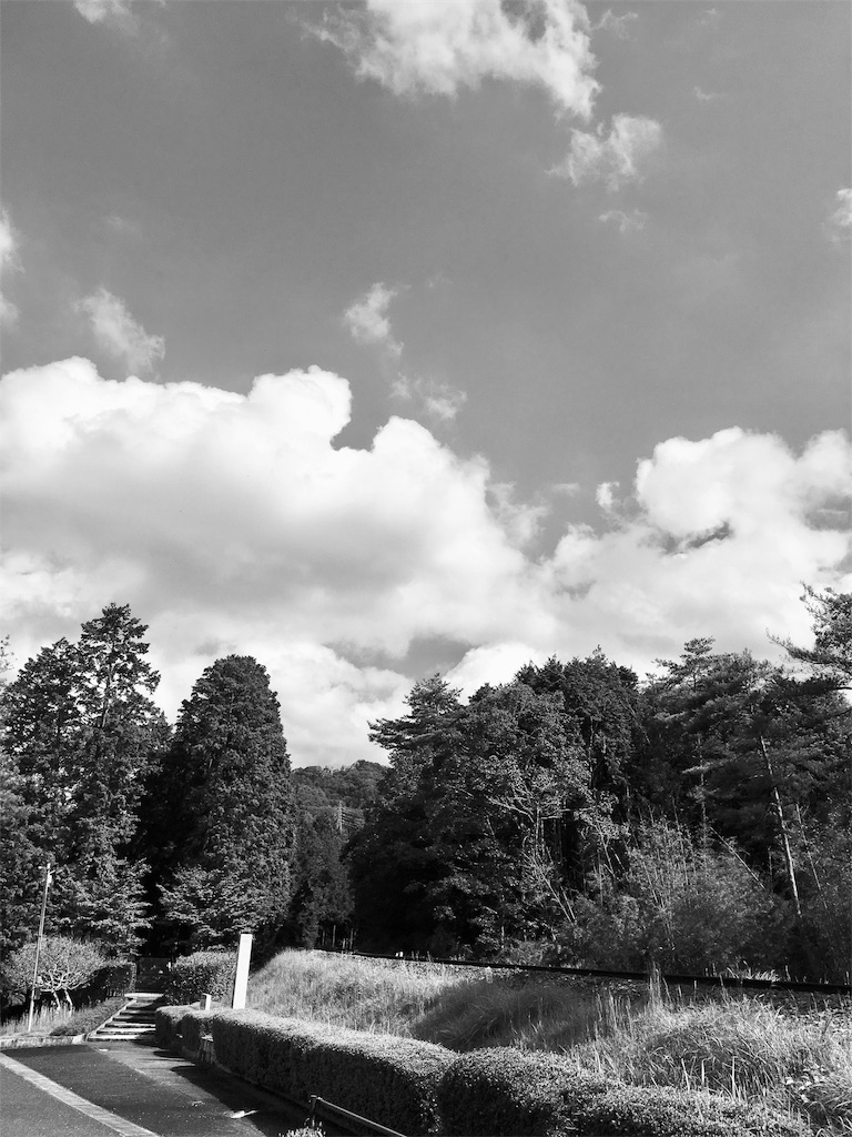 f:id:harry1029:20190926160618j:image