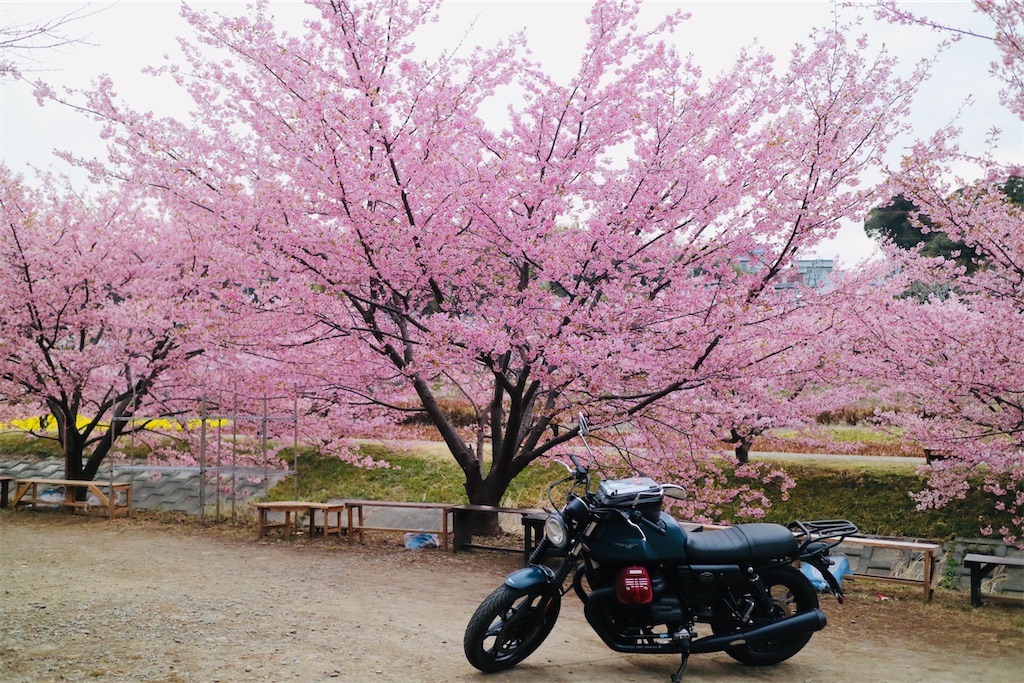 f:id:harry1029:20250412111157j:image f:id:harry1029:20250412111157j:image