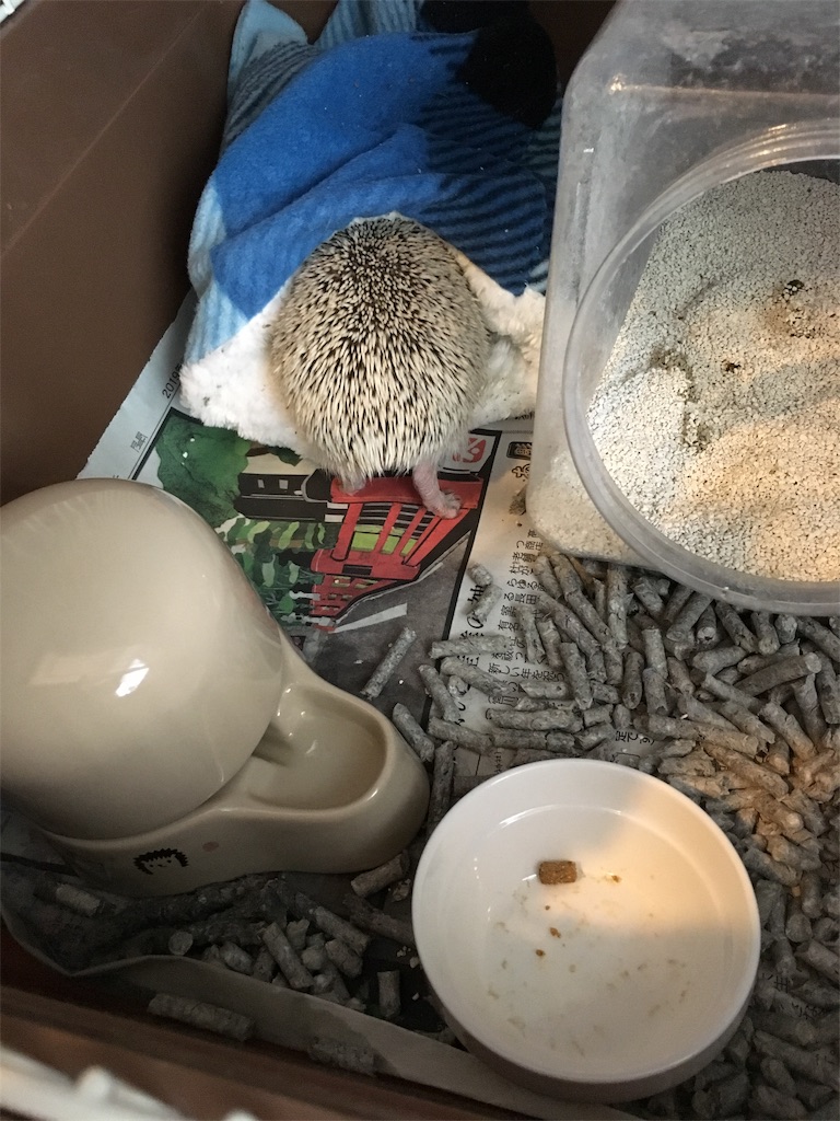 f:id:harryboy:20190322093105j:image f:id:harryboy:20190322093105j:image