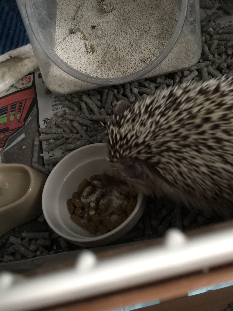 f:id:harryboy:20190322093115j:image f:id:harryboy:20190322093115j:image