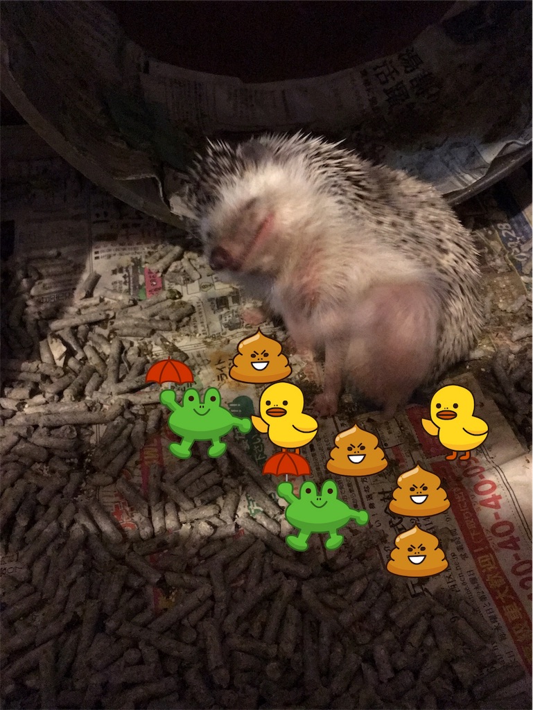 f:id:harryboy:20190326102704j:plain f:id:harryboy:20190326102704j:plain