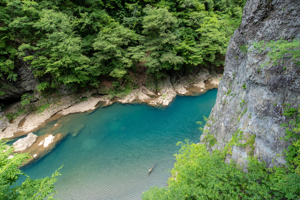 f:id:haru-itinerary:20200106210956j:plain f:id:haru-itinerary:20200106210956j:plain