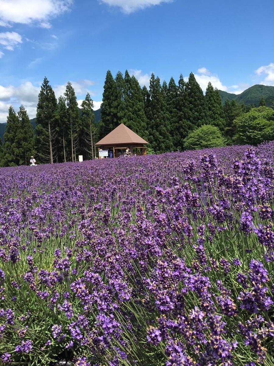 f:id:haru-itinerary:20200107210427j:plain f:id:haru-itinerary:20200107210427j:plain