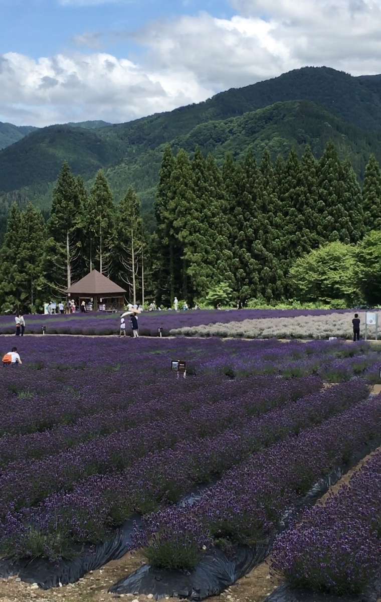 f:id:haru-itinerary:20200107210821p:plain f:id:haru-itinerary:20200107210821p:plain